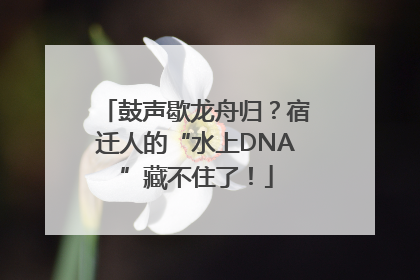 鼓声歇龙舟归？宿迁人的“水上DNA”藏不住了！