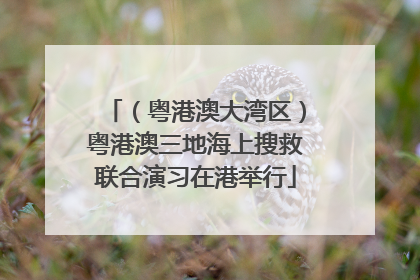 （粤港澳大湾区）粤港澳三地海上搜救联合演习在港举行