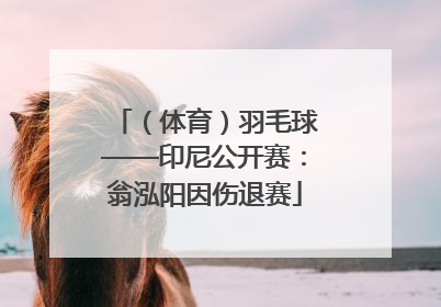 （体育）羽毛球——印尼公开赛：翁泓阳因伤退赛