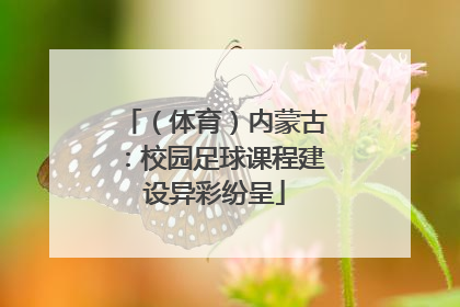 （体育）内蒙古：校园足球课程建设异彩纷呈