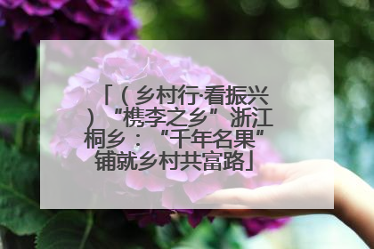（乡村行·看振兴）“槜李之乡”浙江桐乡：“千年名果”铺就乡村共富路