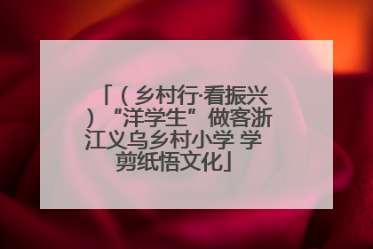 （乡村行·看振兴）“洋学生”做客浙江义乌乡村小学 学剪纸悟文化