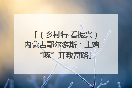 （乡村行·看振兴）内蒙古鄂尔多斯：土鸡“啄”开致富路