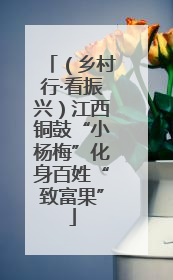 （乡村行·看振兴）江西铜鼓“小杨梅”化身百姓“致富果”