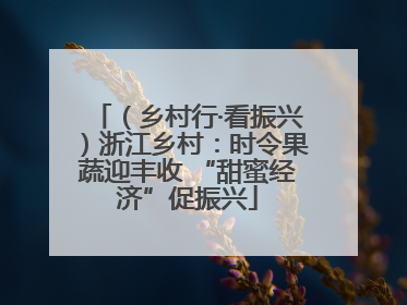 （乡村行·看振兴）浙江乡村：时令果蔬迎丰收 “甜蜜经济”促振兴