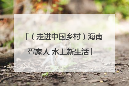 （走进中国乡村）海南疍家人 水上新生活