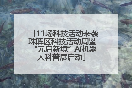 11场科技活动来袭 珠晖区科技活动周暨“元启新境”Ai机器人科普展启动