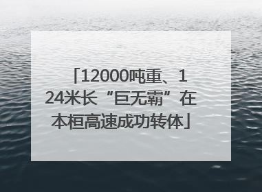 12000吨重、124米长“巨无霸”在本桓高速成功转体