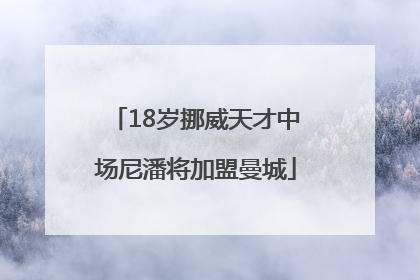 18岁挪威天才中场尼潘将加盟曼城