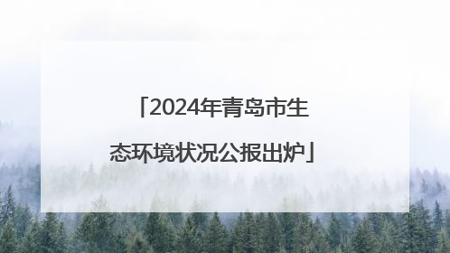 2024年青岛市生态环境状况公报出炉