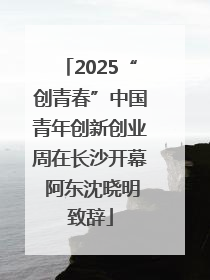 2025“创青春”中国青年创新创业周在长沙开幕 阿东沈晓明致辞