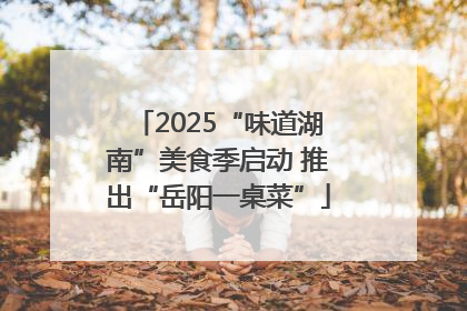 2025“味道湖南”美食季启动 推出“岳阳一桌菜”