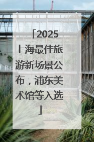 2025上海最佳旅游新场景公布，浦东美术馆等入选