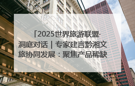 2025世界旅游联盟·洞庭对话｜专家建言黔湘文旅协同发展：聚焦产品稀缺性 深化区域经验共享