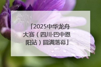 2025中华龙舟大赛（四川·巴中恩阳站）圆满落幕