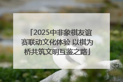 2025中非象棋友谊赛联动文化体验 以棋为桥共筑文明互鉴之路