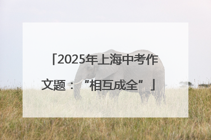 2025年上海中考作文题：“相互成全”