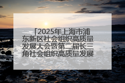 2025年上海市浦东新区社会组织高质量发展大会暨第二届长三角社会组织高质量发展峰会成功举办