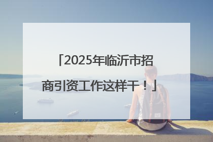 2025年临沂市招商引资工作这样干！