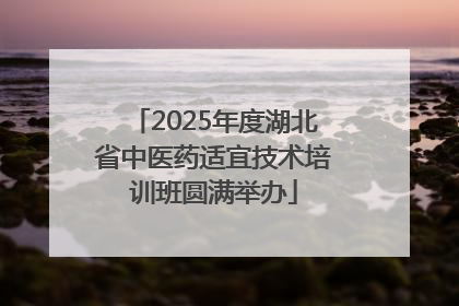 2025年度湖北省中医药适宜技术培训班圆满举办