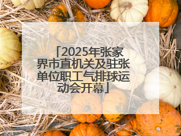 2025年张家界市直机关及驻张单位职工气排球运动会开幕