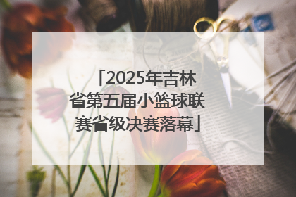 2025年吉林省第五届小篮球联赛省级决赛落幕