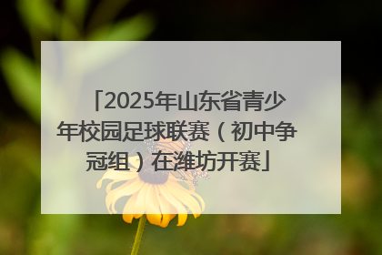 2025年山东省青少年校园足球联赛（初中争冠组）在潍坊开赛