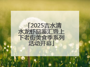2025吉水清水龙虾品鉴汇暨上下老街美食季系列活动开幕