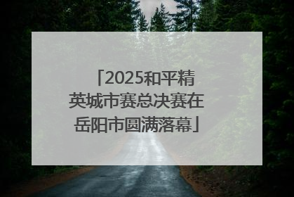 2025和平精英城市赛总决赛在岳阳市圆满落幕