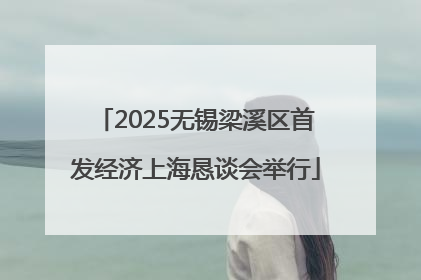 2025无锡梁溪区首发经济上海恳谈会举行