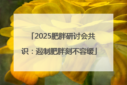 2025肥胖研讨会共识：遏制肥胖刻不容缓