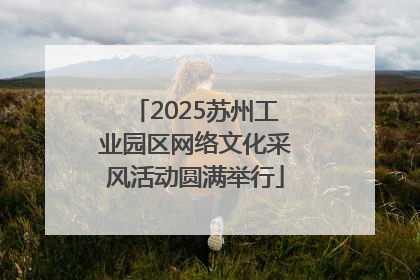 2025苏州工业园区网络文化采风活动圆满举行