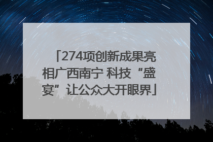 274项创新成果亮相广西南宁 科技“盛宴”让公众大开眼界