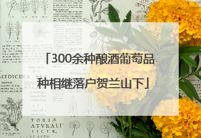 300余种酿酒葡萄品种相继落户贺兰山下