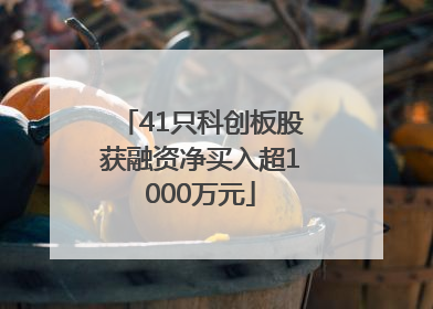 41只科创板股获融资净买入超1000万元
