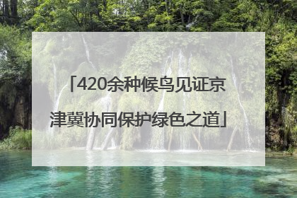 420余种候鸟见证京津冀协同保护绿色之道