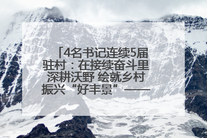 4名书记连续5届驻村：在接续奋斗里深耕沃野 绘就乡村振兴“好丰景”——浦发银行南京分行助力脱贫攻坚、帮促乡村振兴记事（二）