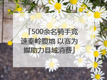 500余名骑手竞速秦岭腹地 以赛为媒助力县域消费