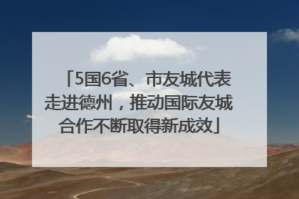 5国6省、市友城代表走进德州，推动国际友城合作不断取得新成效