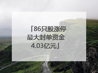 86只股涨停 最大封单资金4.03亿元