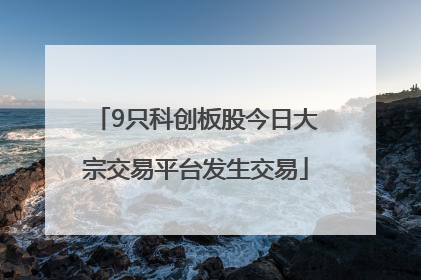 9只科创板股今日大宗交易平台发生交易