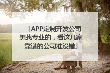 APP定制开发公司想找专业的，看这几家靠谱的公司准没错