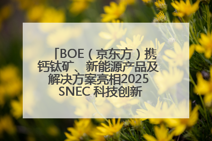 BOE（京东方）携钙钛矿、新能源产品及解决方案亮相2025 SNEC 科技创新赋能行业绿色发展