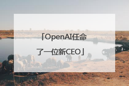 OpenAI任命了一位新CEO