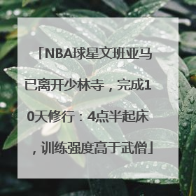 NBA球星文班亚马已离开少林寺，完成10天修行：4点半起床，训练强度高于武僧