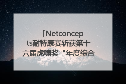Netconcepts耐特康赛斩获第十六届虎啸奖“年度综合服务商”大奖